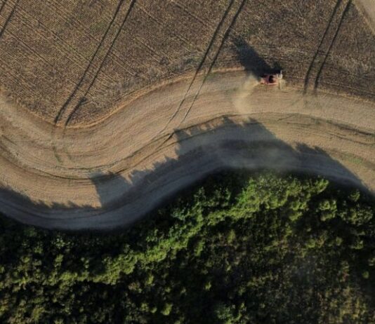 Sistema agroalimentar brasileiro e mudanças climáticas