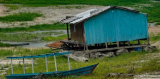 COP-30 na Amazônia está servindo a quem?