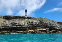 Áreas marinhas de proteção integral do Brasil estão contaminadas por microplásticos