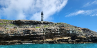 Áreas marinhas de proteção integral do Brasil estão contaminadas por microplásticos