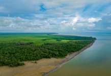 O Preço do Progresso: Como a Exploração de Gás e Petróleo Destrói o Norte Fluminense e pretende destruir a Foz do Amazonas.
