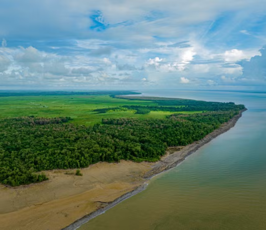 O Preço do Progresso: Como a Exploração de Gás e Petróleo Destrói o Norte Fluminense e pretende destruir a Foz do Amazonas.