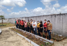 Farmácias Vivas, o elo que une ciência e ancestralidade no SUS: “Tudo se transforma em saúde”
