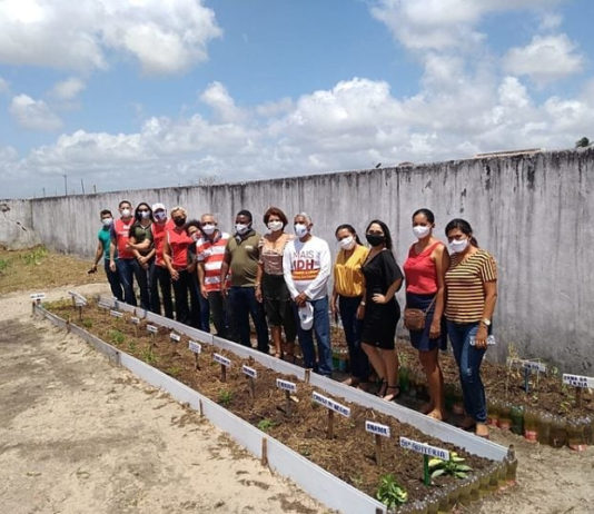 Farmácias Vivas, o elo que une ciência e ancestralidade no SUS: “Tudo se transforma em saúde”
