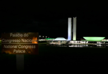 Além da COP30 – pautas ambientais para (também) ficar de olho em 2025