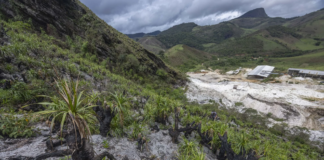 A corrida para salvar um dos últimos campos rupestres de Juiz de Fora