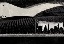 Invisíveis da fumaça: comunidades da Amazônia enfrentam níveis extremos de poluição do ar em ano de seca recorde