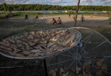 Petroleiras criam ‘cortina de fumaça’ para viabilizar exploração na costa amazônica do Brasil