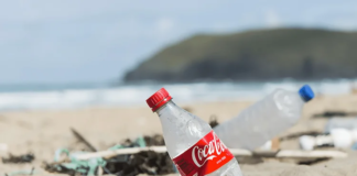 Herança da Coca-Cola: 600.000 t de resíduos plásticos anuais nos oceanos