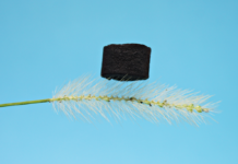 Bagaço de cana vira embalagem para eletrônicos sensíveis