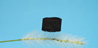 Bagaço de cana vira embalagem para eletrônicos sensíveis