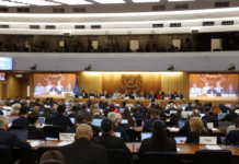 Indústria e cientistas brasileiros vão à IMO rebater acusações contra biocombustíveis