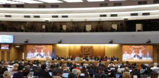 Indústria e cientistas brasileiros vão à IMO rebater acusações contra biocombustíveis