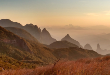 Agrotóxicos estão espalhados por lugares intocados em áreas de proteção, aponta estudo
