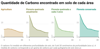 Solo perde mais carbono virando monocultura do que pegando fogo