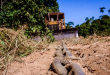 Manifesto pelo fim do uso do “CORRENTÃO” no Brasil