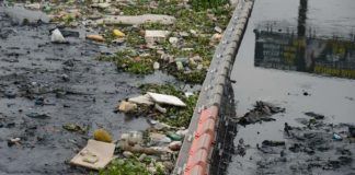 Baía de Guanabara recebe 3 milhões de litros de chorume por dia