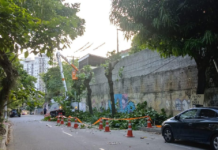 Enel recebe multa inédita de R$ 225 mil por destruição de árvores