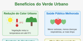 Arborização urbana como solução para ilhas de calor, enchentes e saúde pública