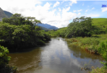 Um Sítio Ramsar para o Norte Fluminense