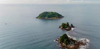 A tragédia do plástico num santuário de aves marinhas