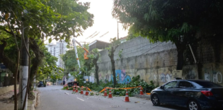 Enel recebe multa inédita de R$ 225 mil por destruição de árvores