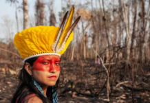 Sete dias para barrar a PL da Devastação