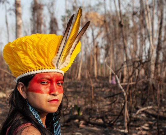 Sete dias para barrar a PL da Devastação