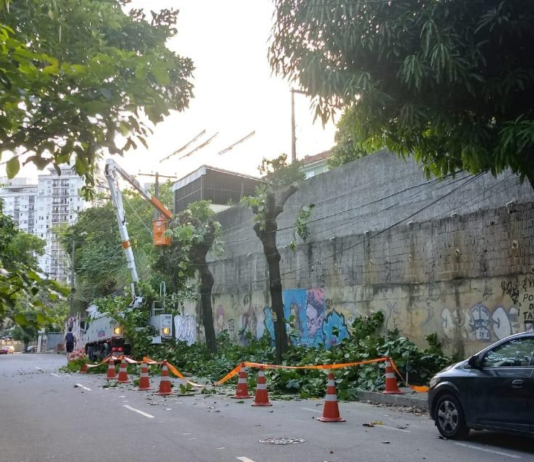 Enel recebe multa inédita de R$ 225 mil por destruição de árvores