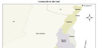 Ecorregião de São Tomé: natureza