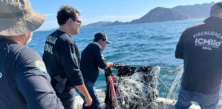 Balão de festa junina é interceptado pelas equipes da Operação Jubarte na Região dos Lagos