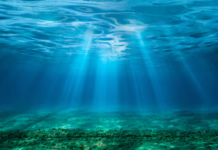 ‘Bomba-relógio’: acidez do mar atingiu níveis críticos, ameaçando ecossistemas inteiros – estudo