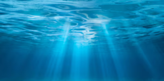 ‘Bomba-relógio’: acidez do mar atingiu níveis críticos, ameaçando ecossistemas inteiros – estudo