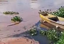 Denúncia de óleo diesel no rio Sarapuí