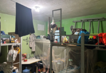 BYD é processada por trabalho escravo e tráfico de pessoas em ação de R$ 257 milhões