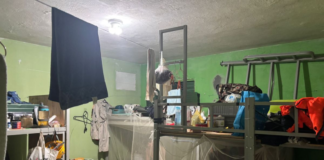 BYD é processada por trabalho escravo e tráfico de pessoas em ação de R$ 257 milhões