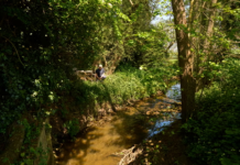 Agrotóxicos, antibióticos, medicamentos para animais: o coquetel químico que está vazando nos rios do Reino Unido