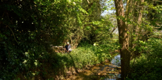 Agrotóxicos, antibióticos, medicamentos para animais: o coquetel químico que está vazando nos rios do Reino Unido