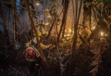 Desmatamento na Amazônia sobe 91% em maio