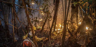 Desmatamento na Amazônia sobe 91% em maio