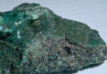 “Julho sem Plástico”: campanha propõe nova forma de consumo