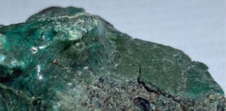 “Julho sem Plástico”: campanha propõe nova forma de consumo