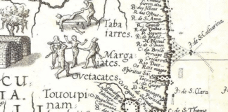 Manguezais de Barra do Furado