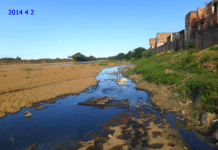 Emergência climática: o semi pode virar árido!