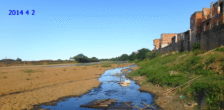 Emergência climática: o semi pode virar árido!