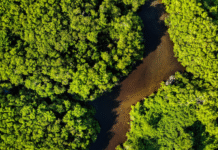 O Brasil é considerado o país com maior diversidade do mundo