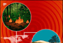 Extremos da Terra caminham para ponto de não retorno