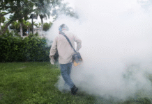 Exposição à misturas de agrotóxicos aumenta risco de complicações na gravidez, sugere estudo