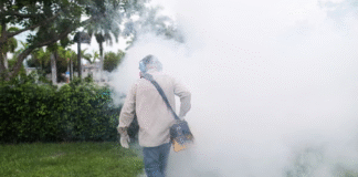 Exposição à misturas de agrotóxicos aumenta risco de complicações na gravidez, sugere estudo