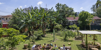 Déficit de natureza ameaça saúde física e mental das crianças